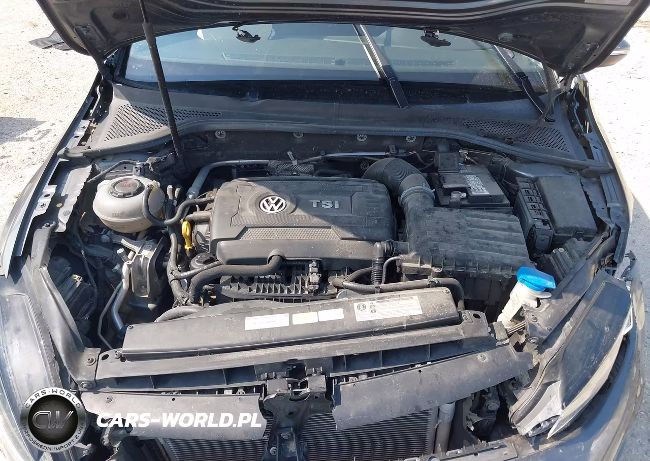 2018 Volkswagen Golf Sportwagen Tsi S-Tsi Se VIN:3VWD17AU9JM761761 - 10