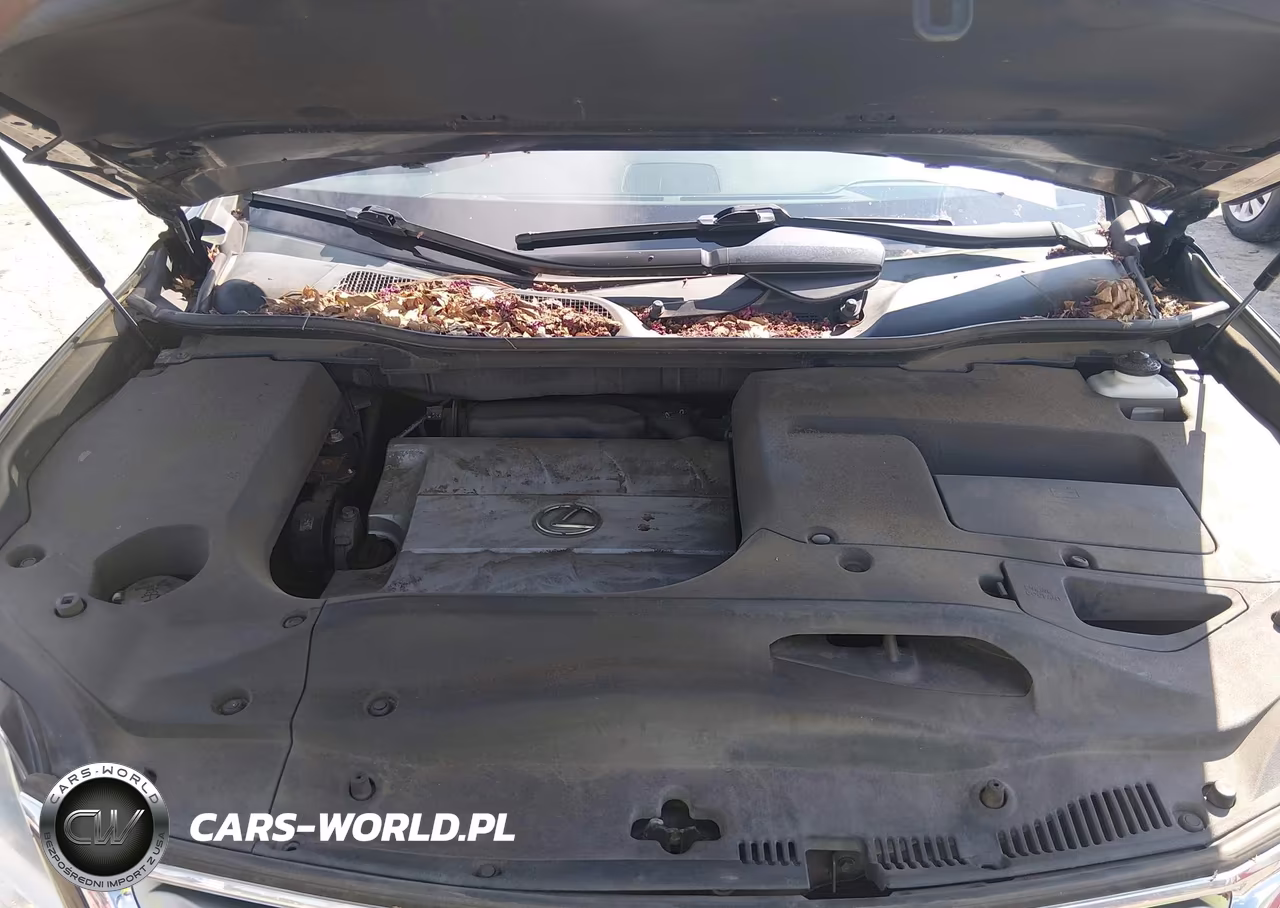 2013 Lexus Rx 350 VIN:2T2BK1BA8DC223635 - 10