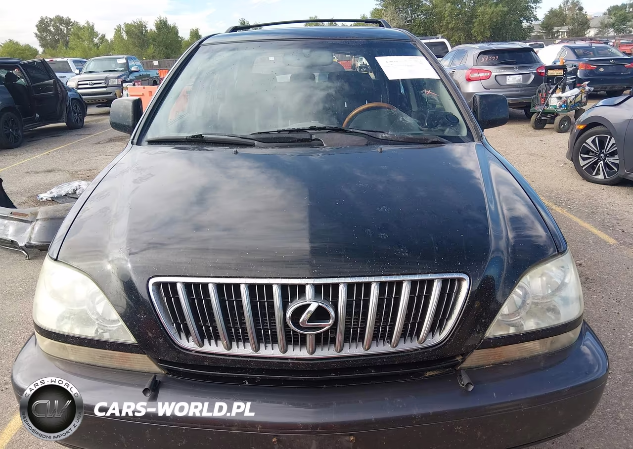 2002 Lexus Rx 300 VIN:JTJHF10U320246261 - 13