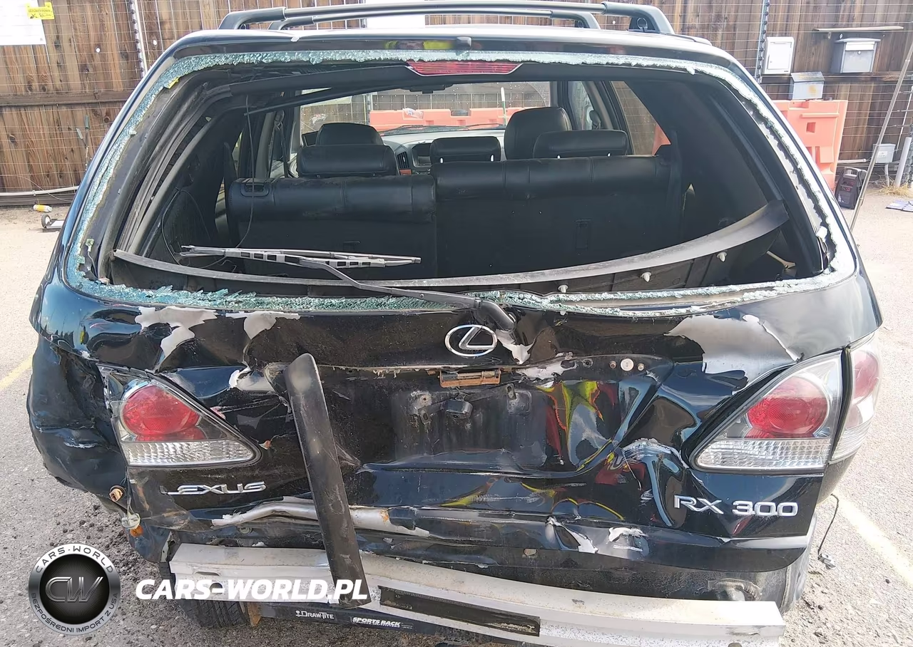 2002 Lexus Rx 300 VIN:JTJHF10U320246261 - 17