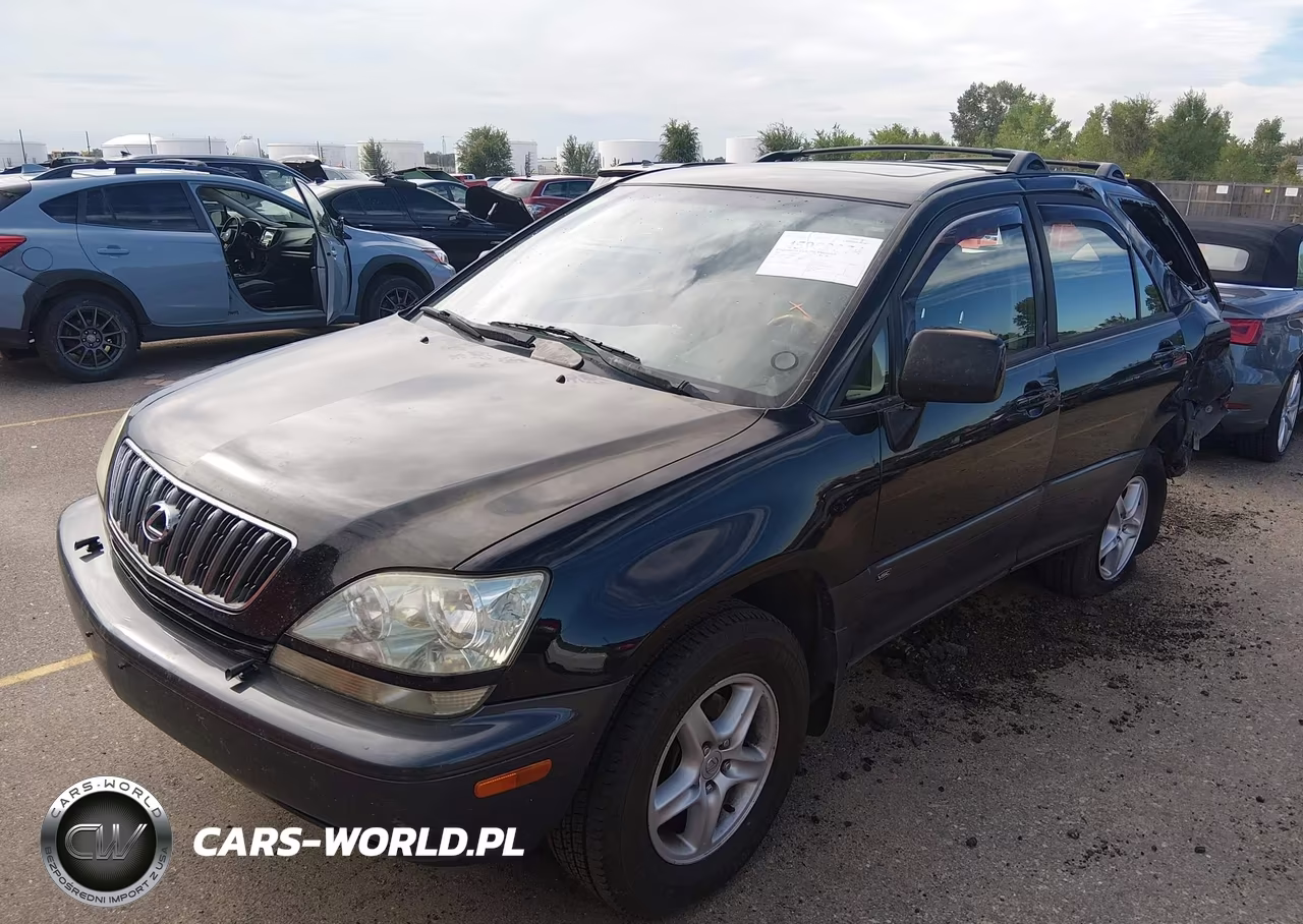 2002 Lexus Rx 300 VIN:JTJHF10U320246261 - 2