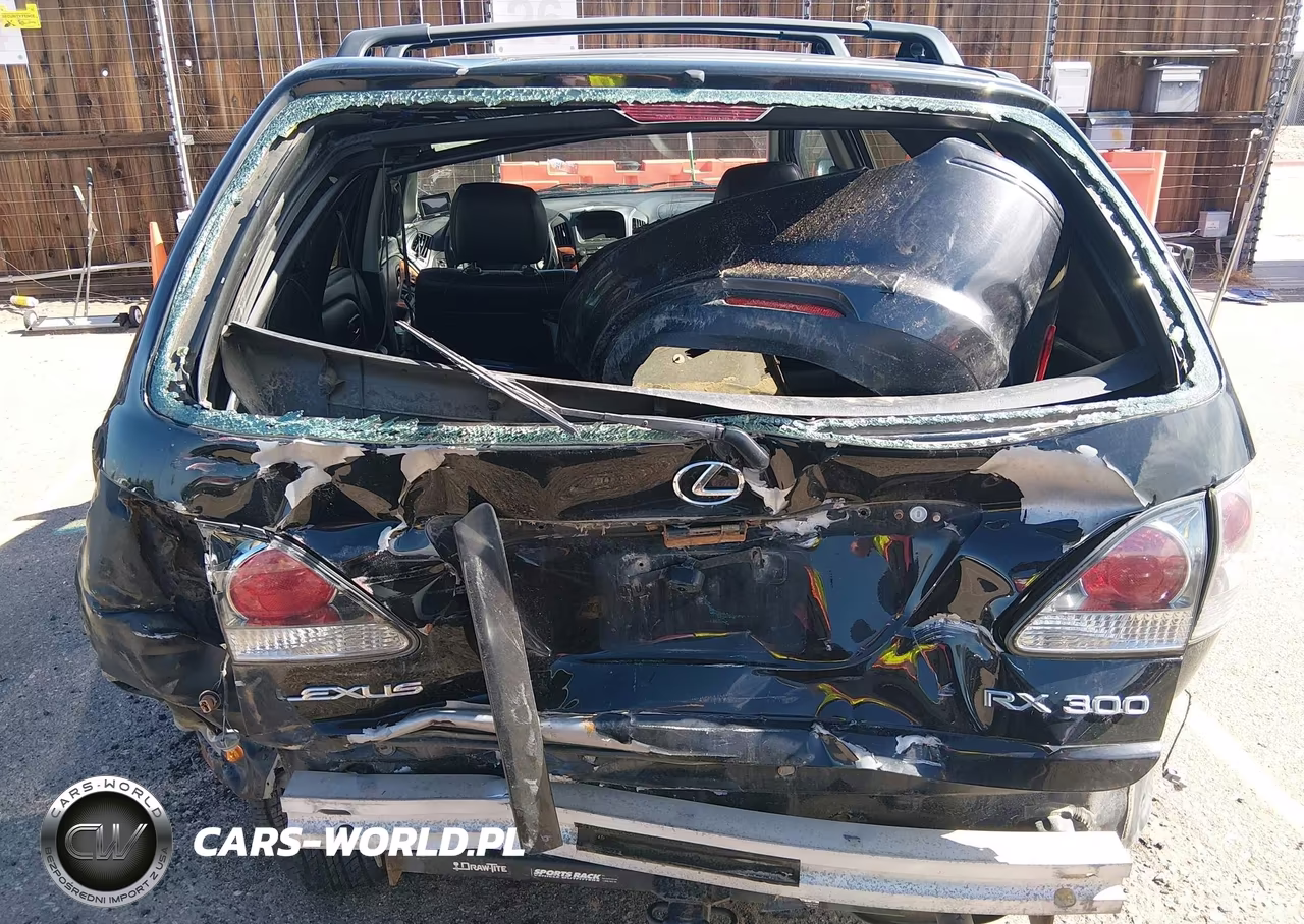 2002 Lexus Rx 300 VIN:JTJHF10U320246261 - 6