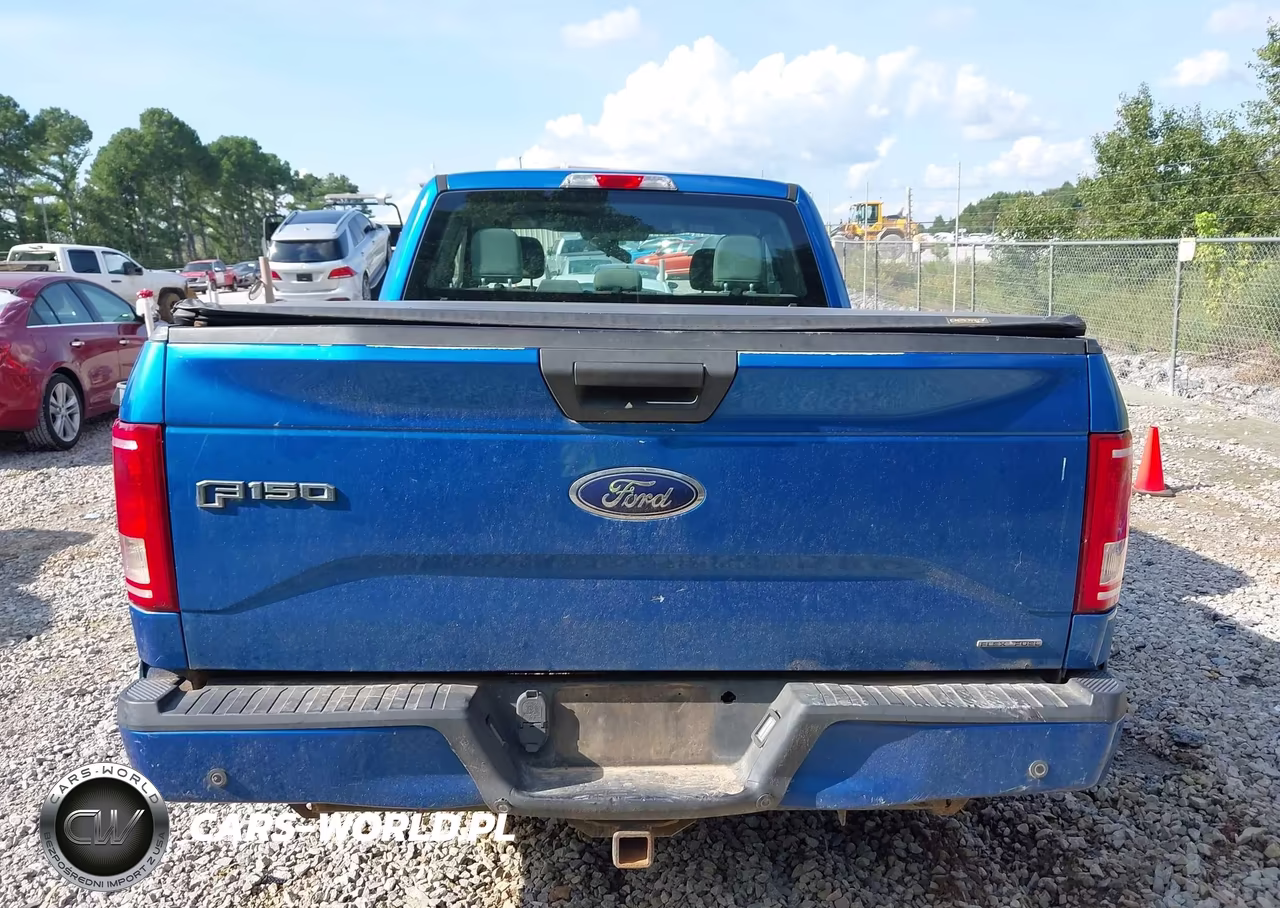2015 Ford F-150 Xl VIN:1FTEX1C84FKD41519 - 17