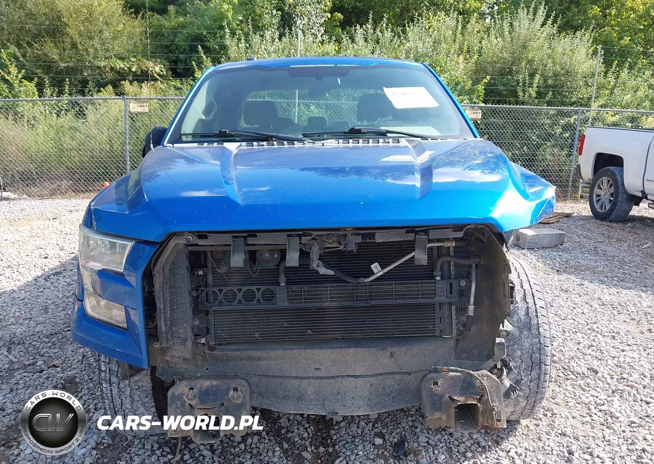 2015 Ford F-150 Xl VIN:1FTEX1C84FKD41519 - 6