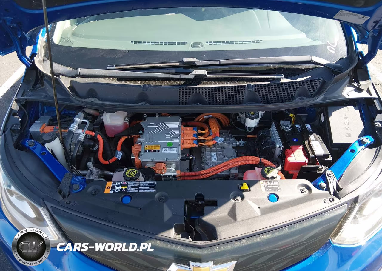 2017 Chevrolet Bolt Ev Lt VIN:1G1FW6S03H4191046 - 10
