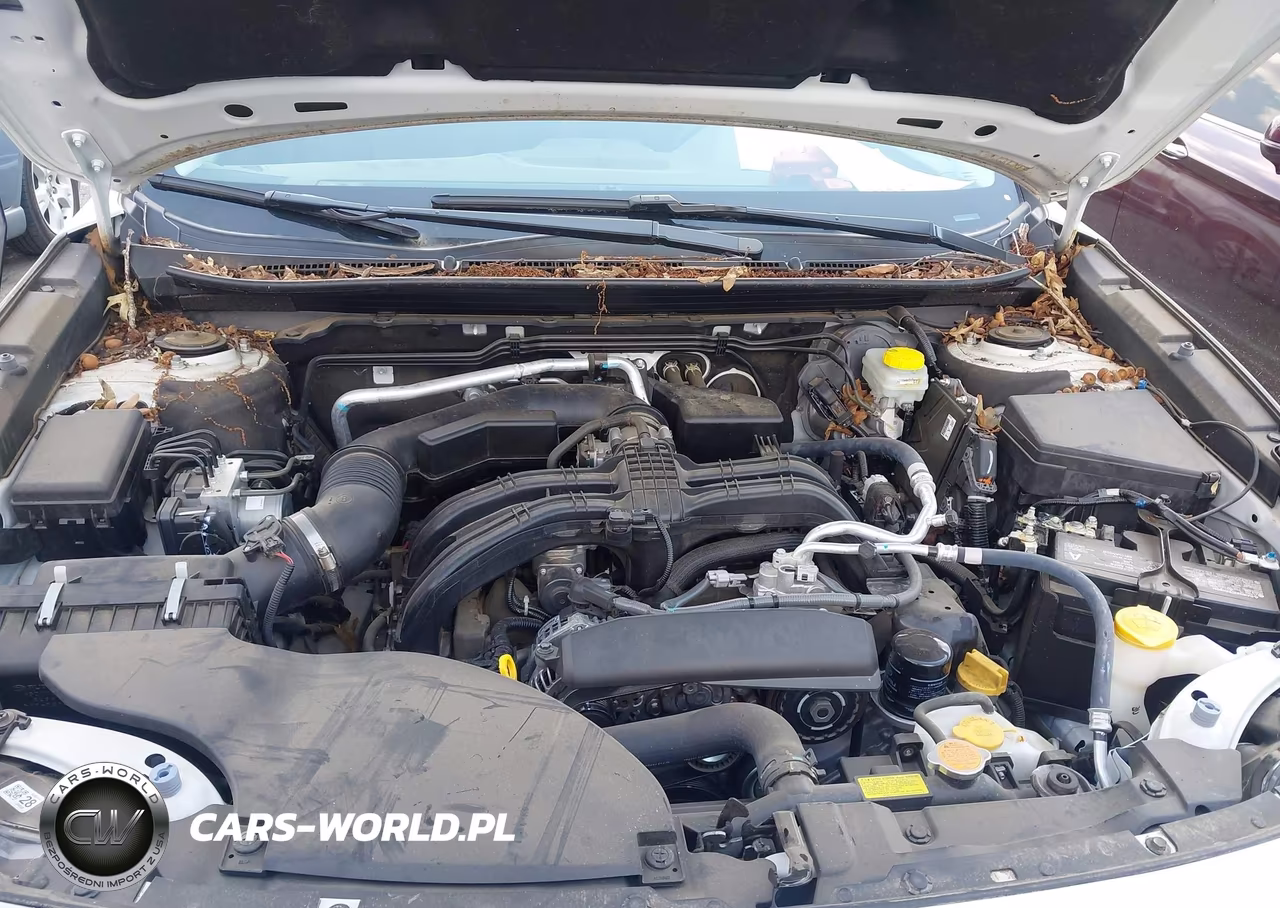 2024 Subaru Outback Limited VIN:4S4BTANC7R3240100 - 10