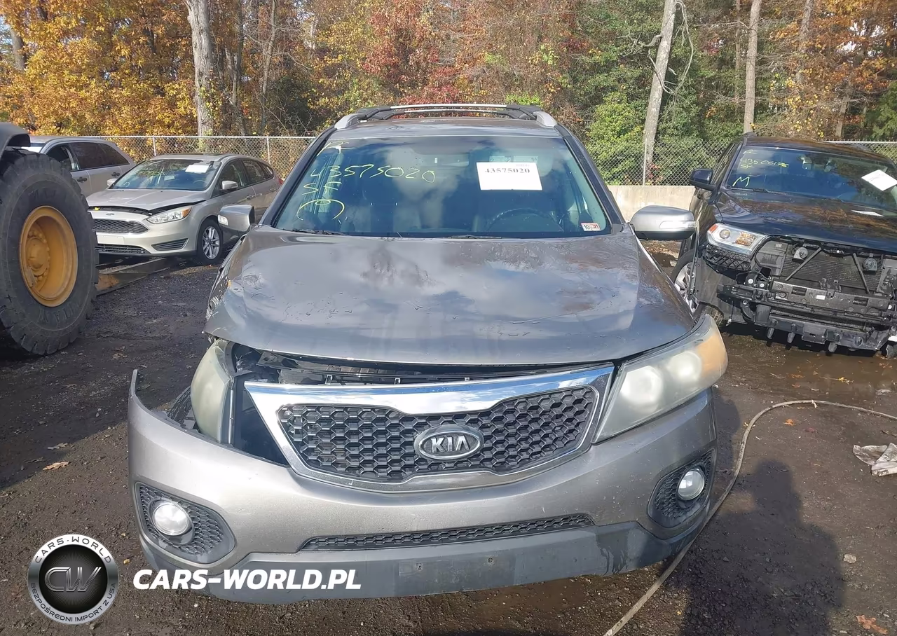 2011 Kia Sorento Lx VIN:5XYKTCA19BG173635 - 11