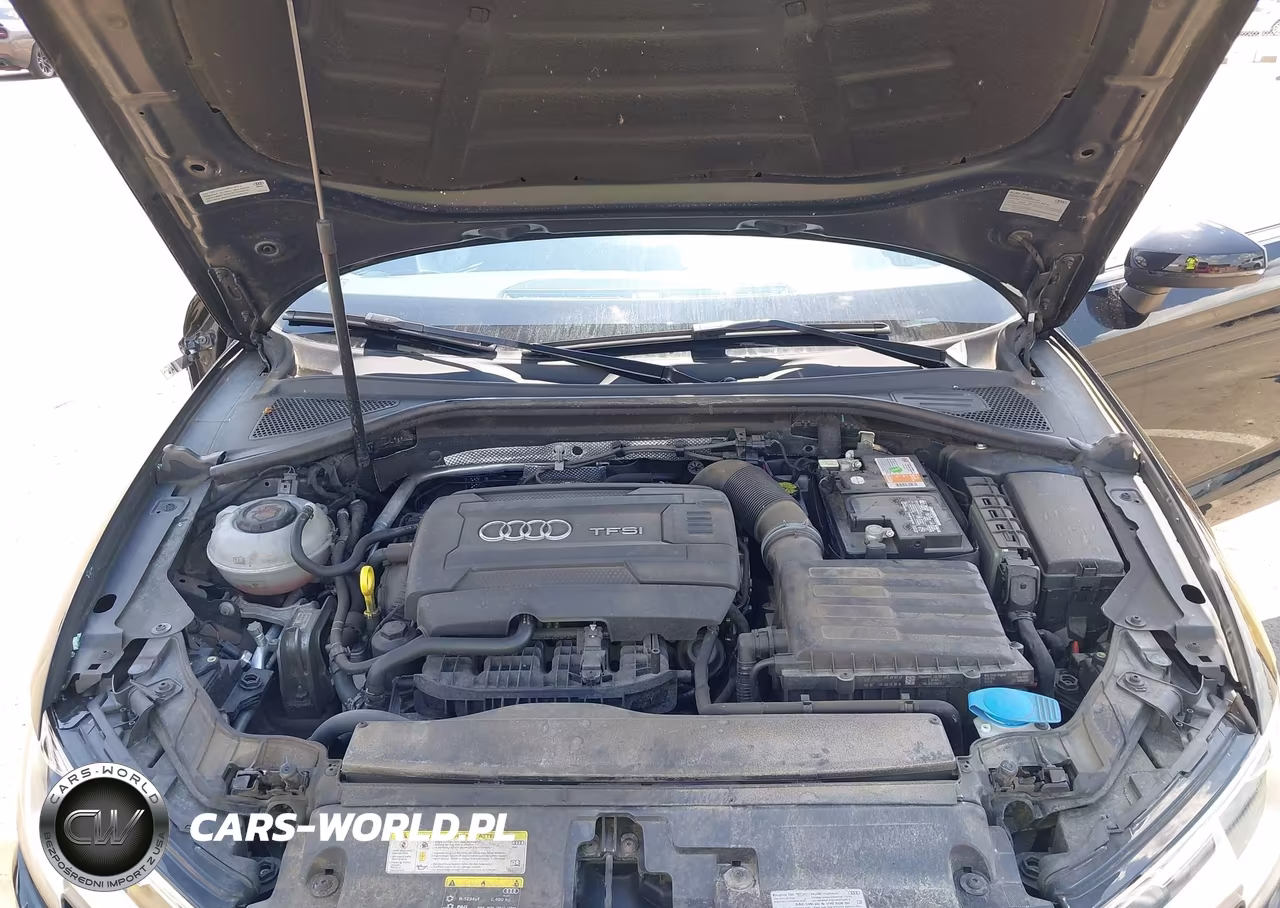 2019 Audi A3 45 Premium VIN:WAU7ELFF2K1030494 - 10