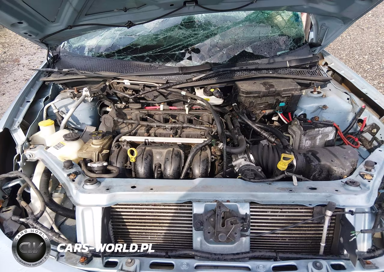 2009 Ford Focus S VIN:1FAHP34N09W256709 - 10