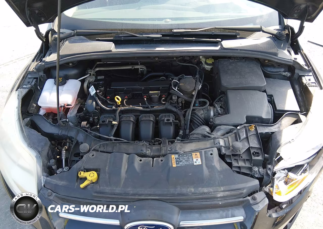 2014 Ford Focus Se VIN:1FADP3F26EL313587 - 10
