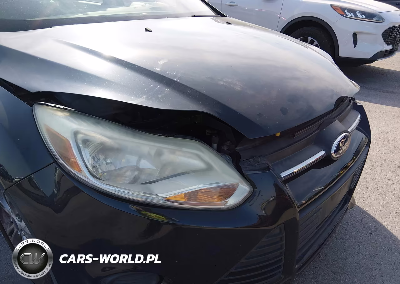 2014 Ford Focus Se VIN:1FADP3F26EL313587 - 17