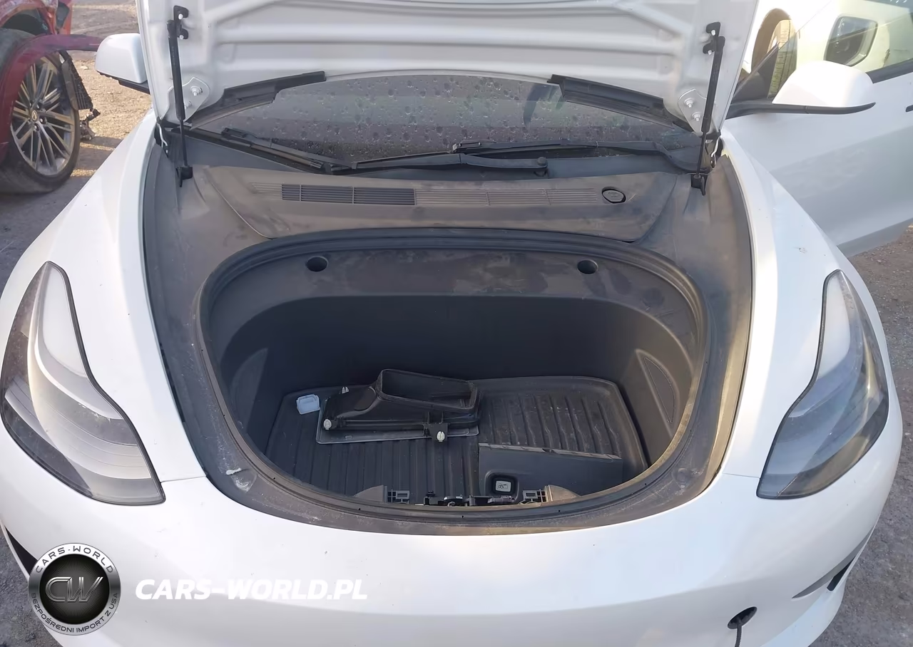 2023 Tesla Model 3 Long Range Dual Motor All-Wheel Drive VIN:5YJ3E1EB7PF391870 - 10