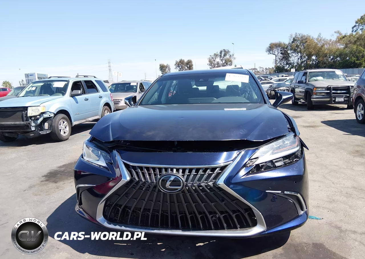 2024 Lexus Es 300H VIN:58ADA1C1XRU048706 - 12