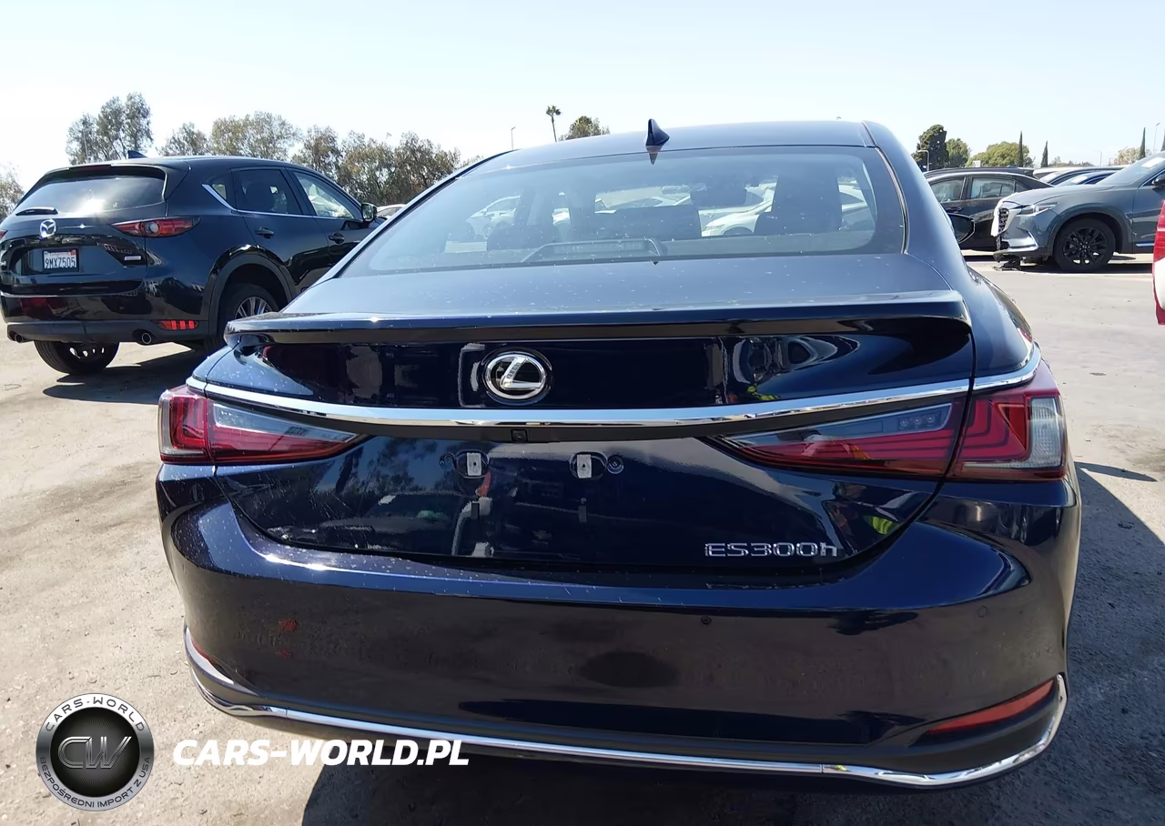 2024 Lexus Es 300H VIN:58ADA1C1XRU048706 - 16