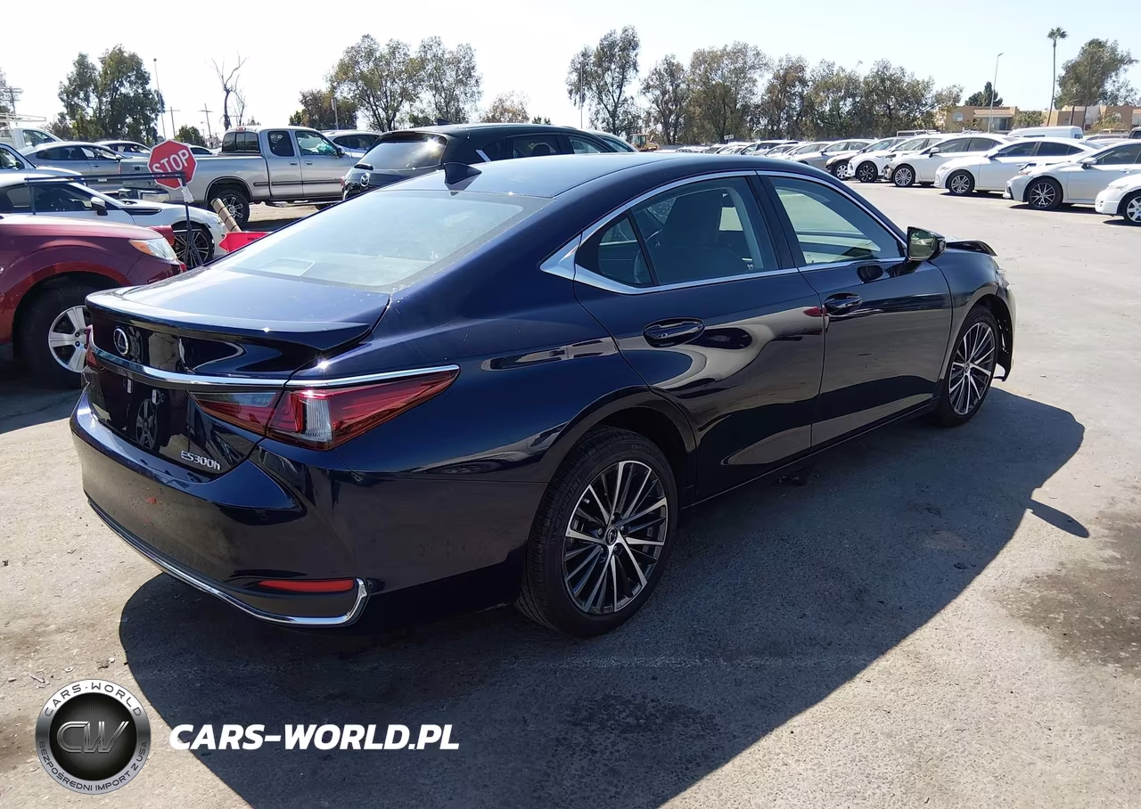 2024 Lexus Es 300H VIN:58ADA1C1XRU048706 - 4