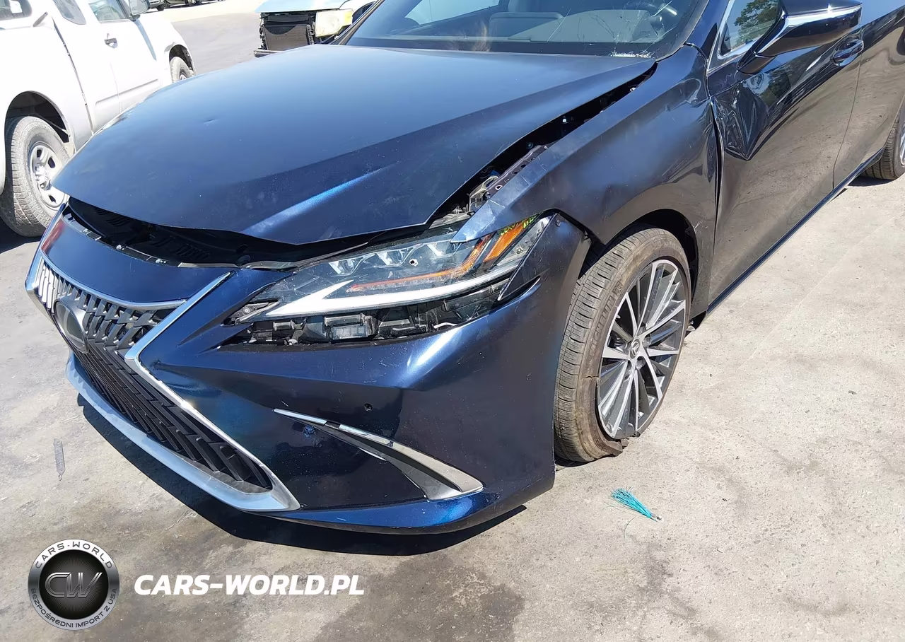 2024 Lexus Es 300H VIN:58ADA1C1XRU048706 - 6