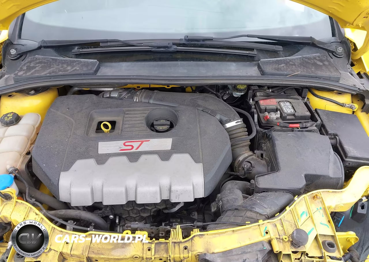 2018 Ford Focus St VIN:1FADP3L95JL244662 - 10