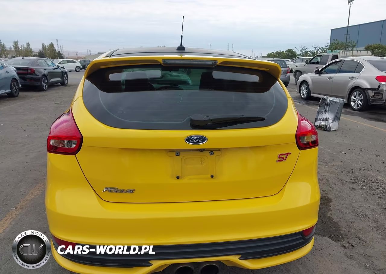 2018 Ford Focus St VIN:1FADP3L95JL244662 - 17