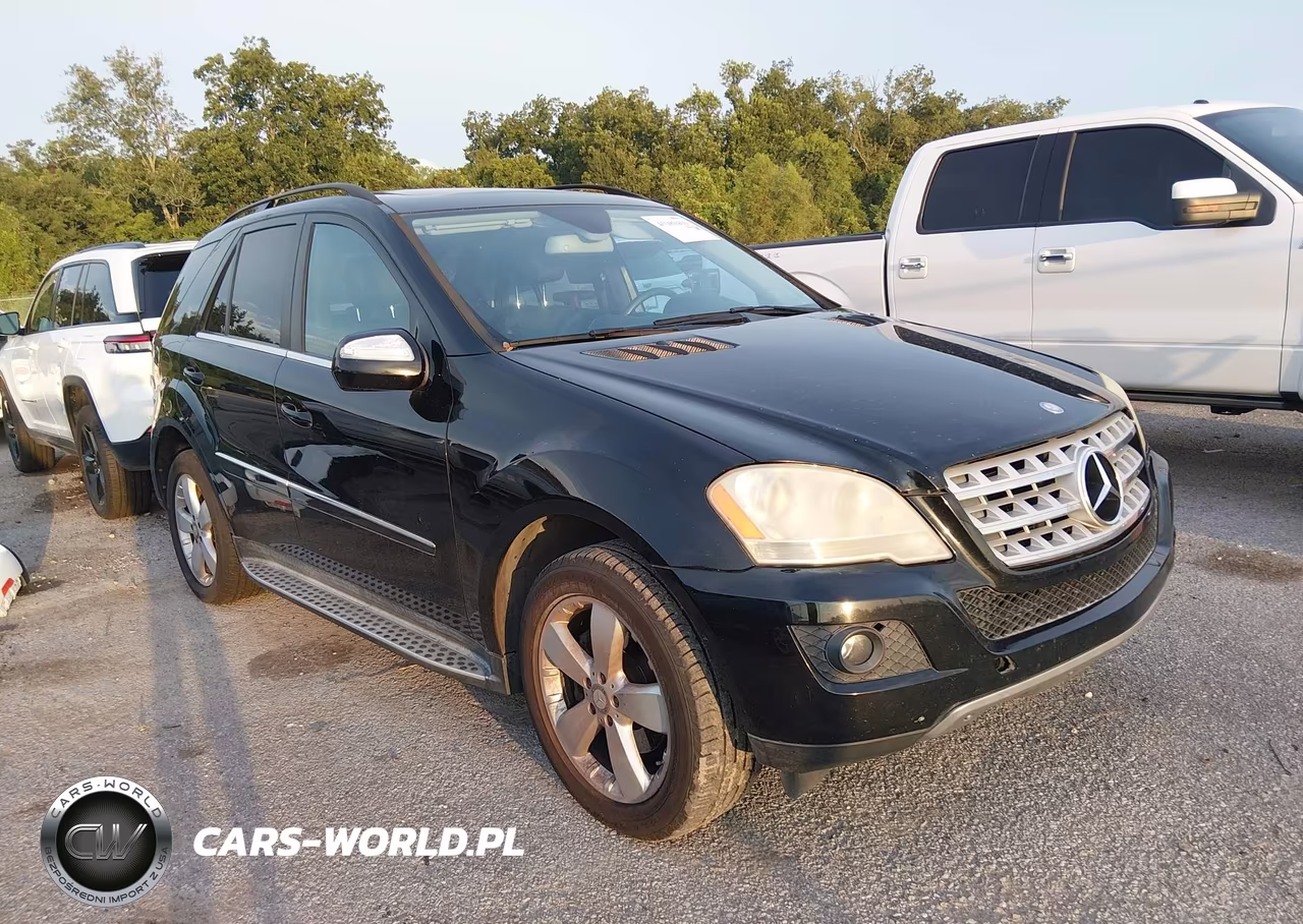 2010 Mercedes-Benz Ml 350