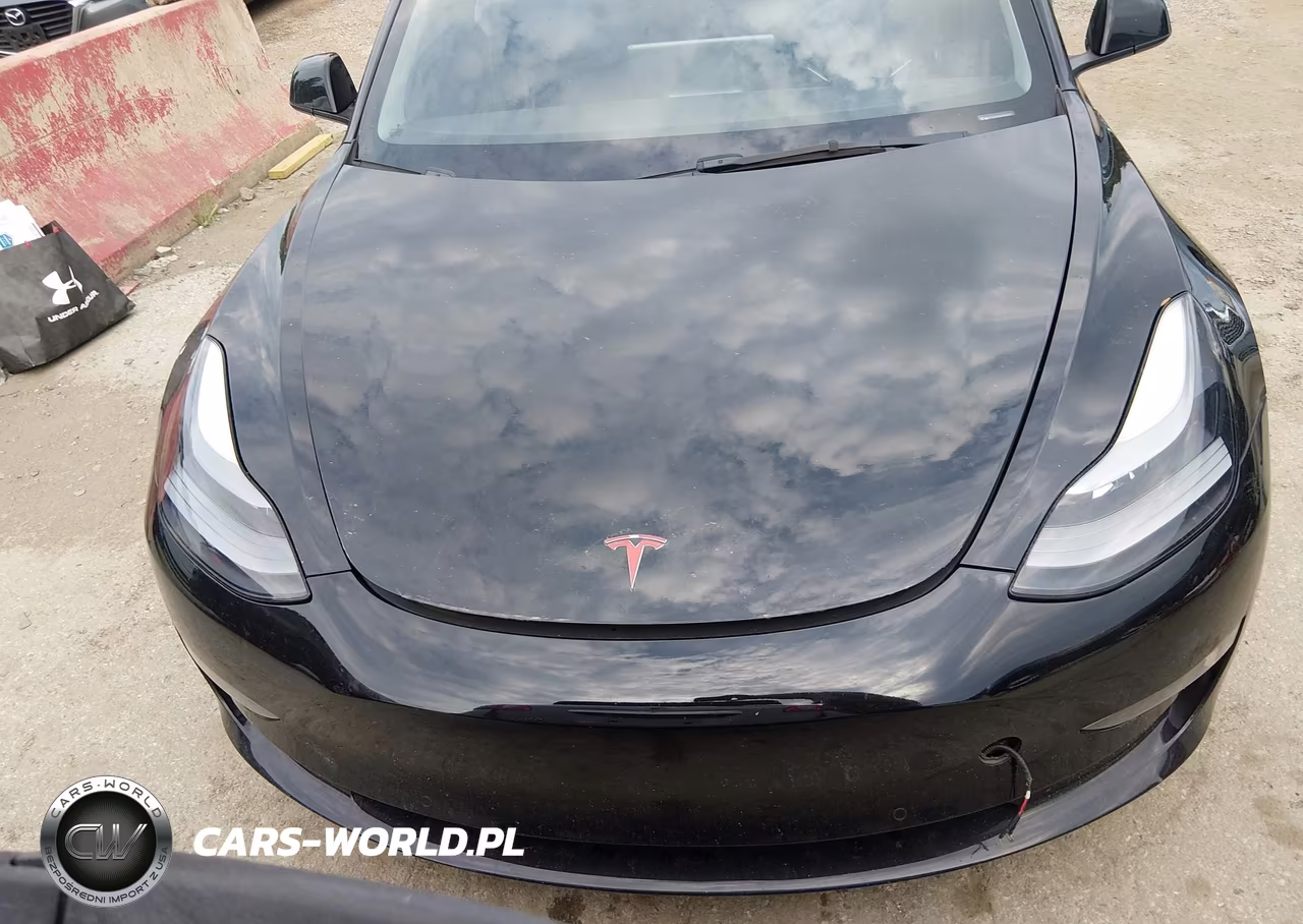2022 Tesla Model 3 Long Range Dual Motor All-Wheel Drive VIN:5YJ3E1EB6NF252293 - 13