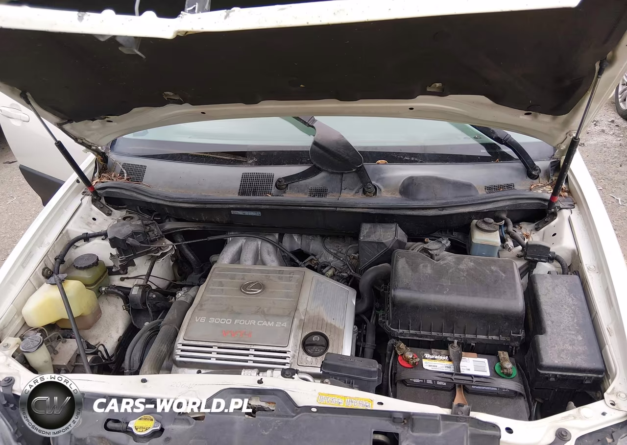 2000 Lexus Rx 300 VIN:JT6HF10U3Y0127385 - 10
