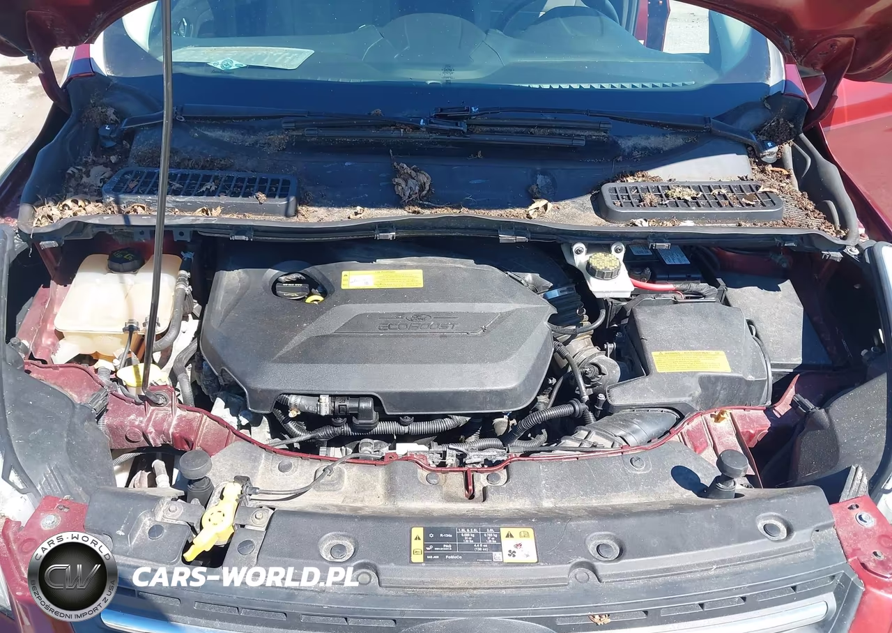 2014 Ford Escape Se VIN:1FMCU0GX9EUB42038 - 10