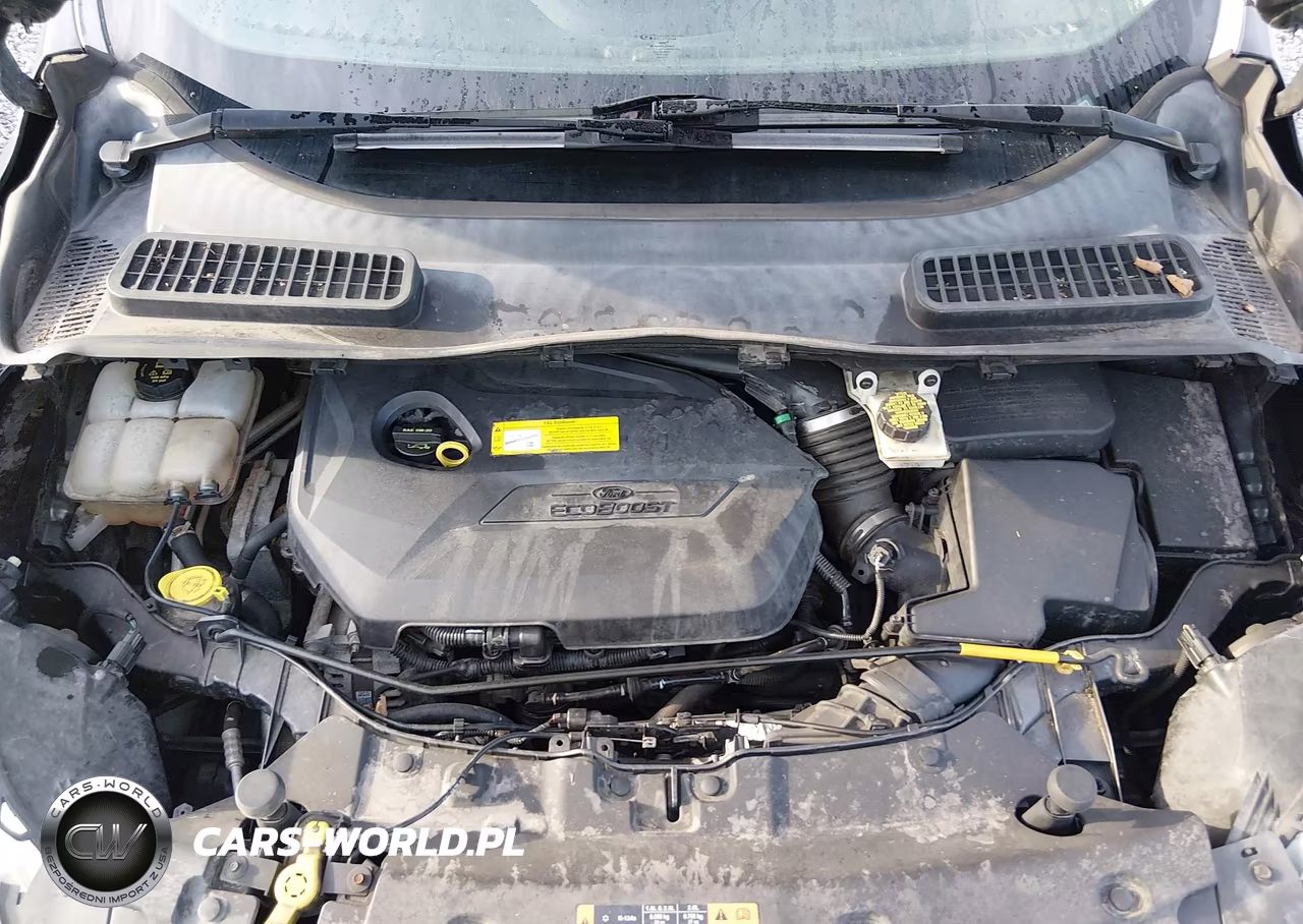 2015 Ford Escape Se VIN:1FMCU0GX4FUA76841 - 10