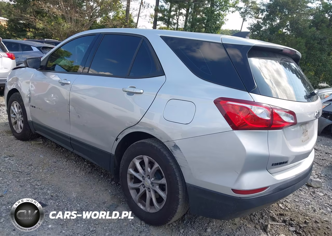 2019 Chevrolet Equinox Ls VIN:3GNAXHEV6KS613777 - 3