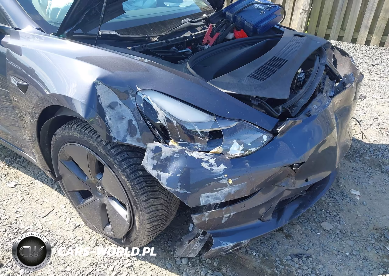 2021 Tesla Model 3 Long Range Dual Motor All-Wheel Drive VIN:5YJ3E1EBXMF048451 - 22