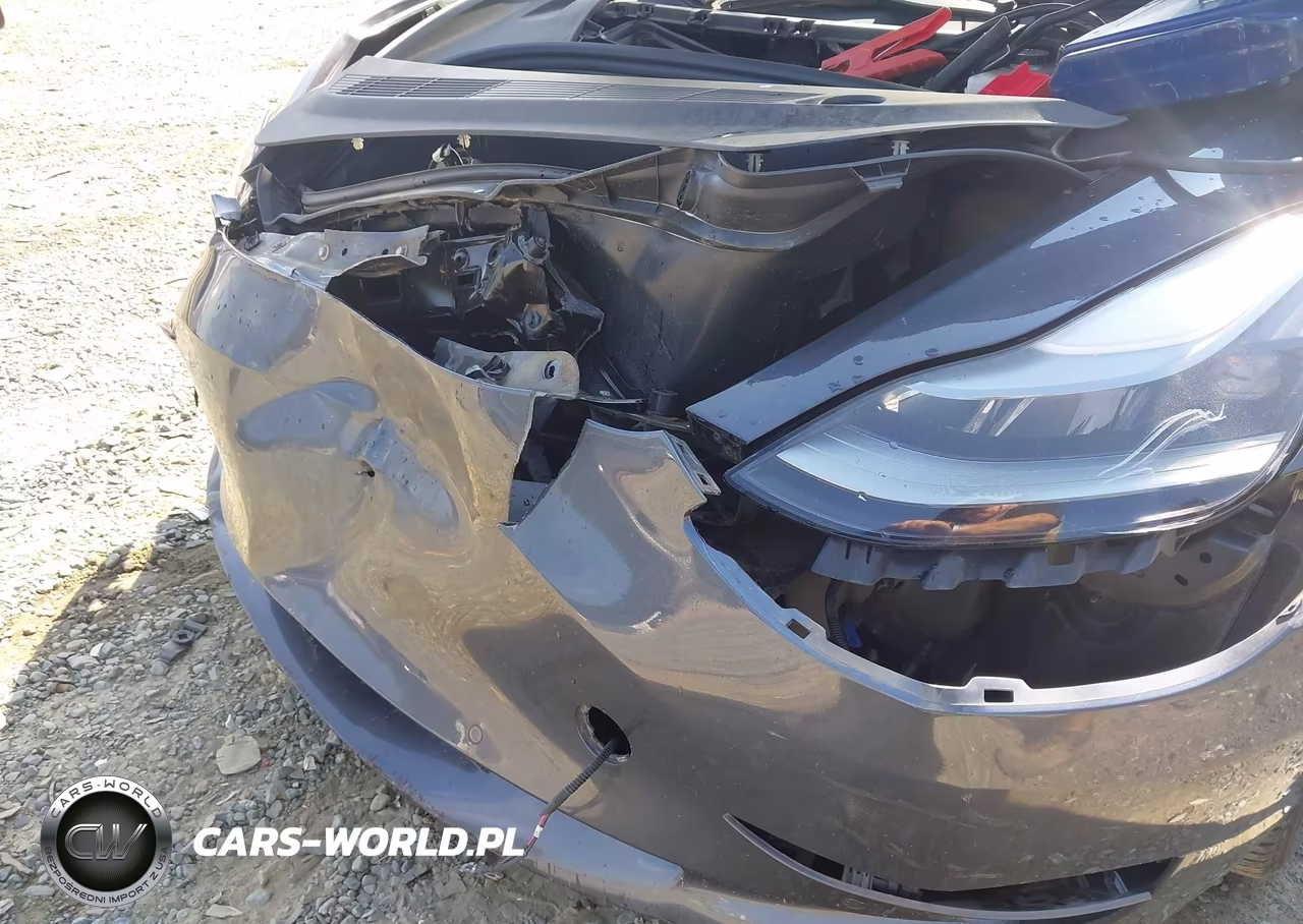 2021 Tesla Model 3 Long Range Dual Motor All-Wheel Drive VIN:5YJ3E1EBXMF048451 - 6