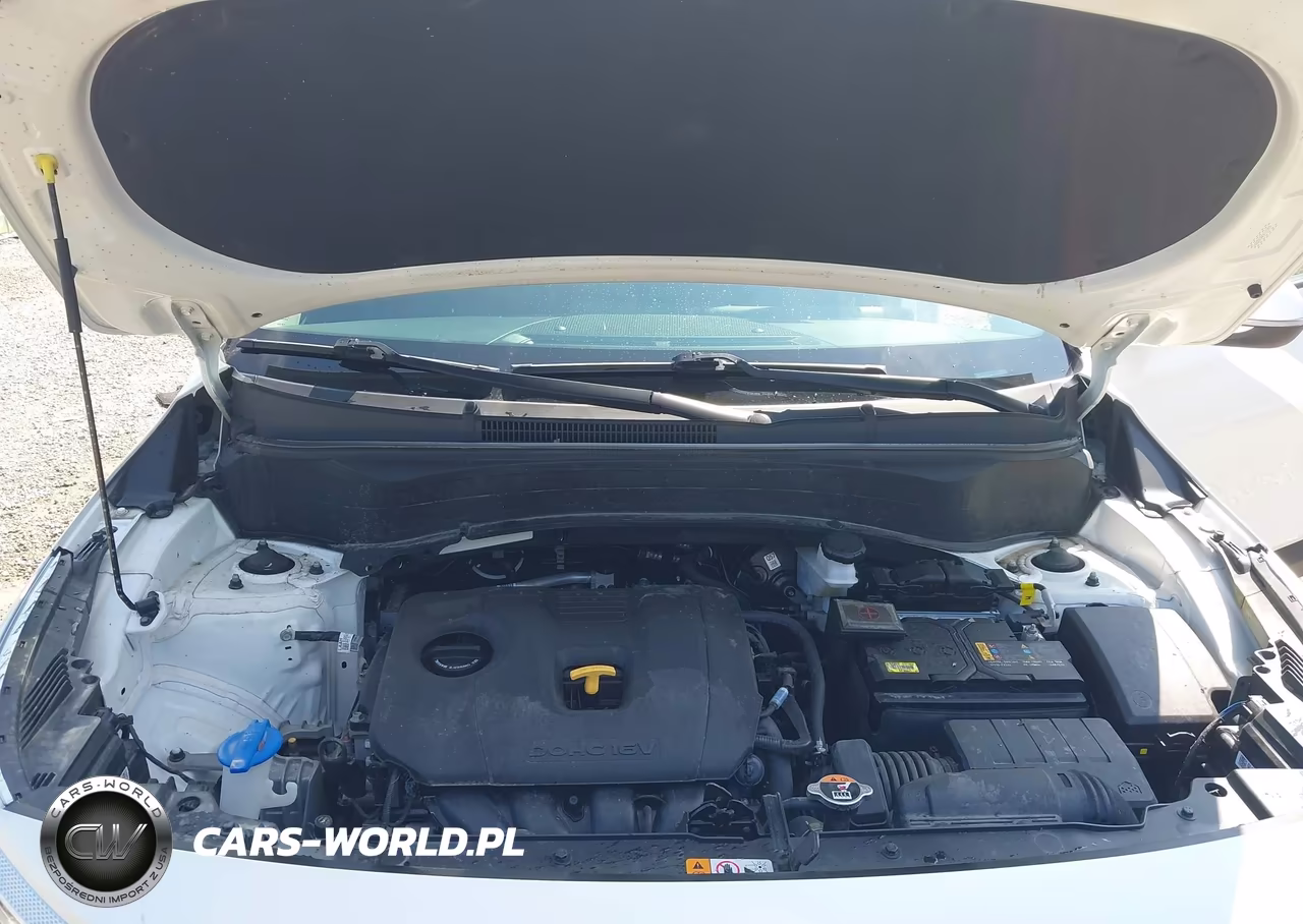 2024 Kia Seltos Ex VIN:KNDERCAA0R7632909 - 10