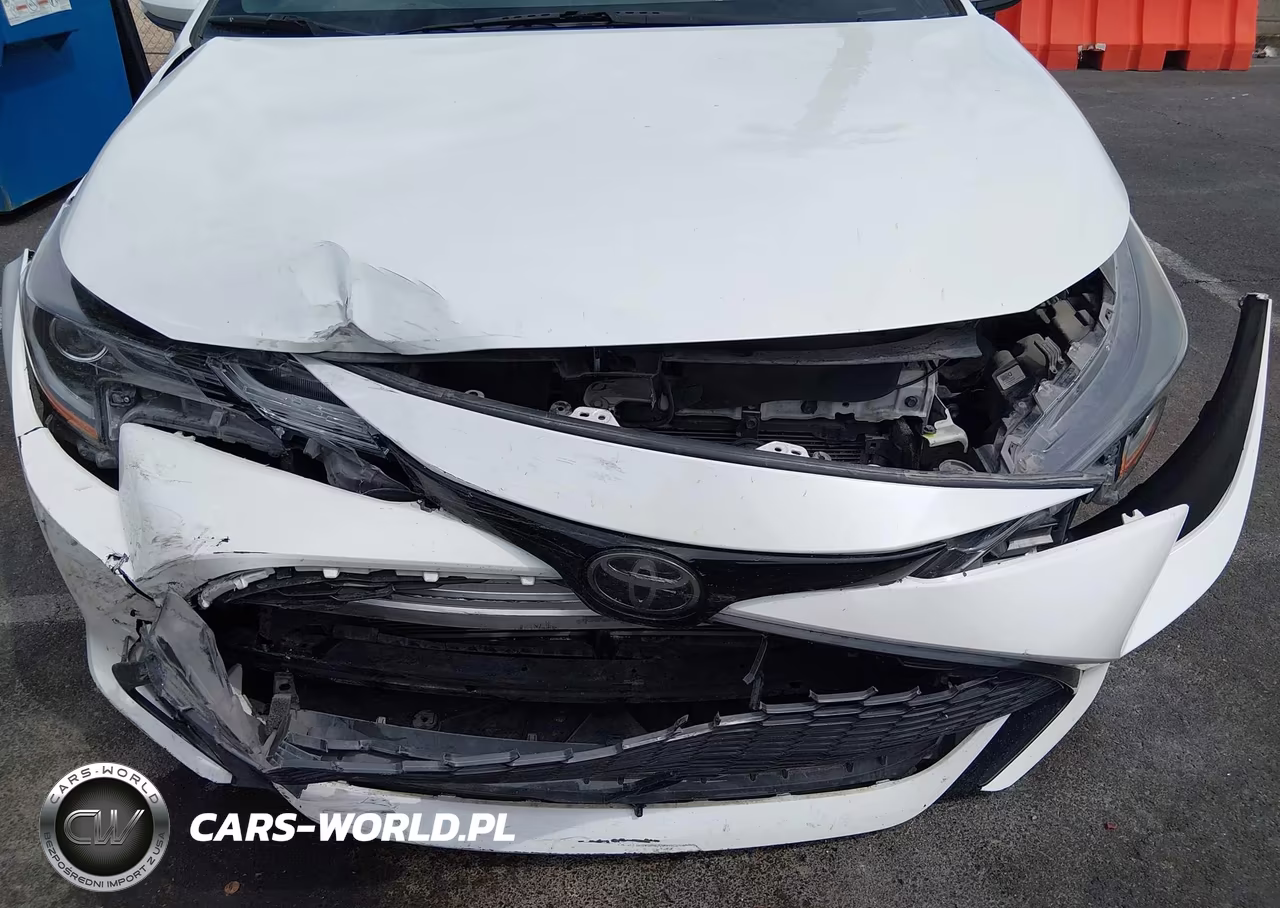 2019 Toyota Corolla Se VIN:JTNK4RBE1K3052647 - 6