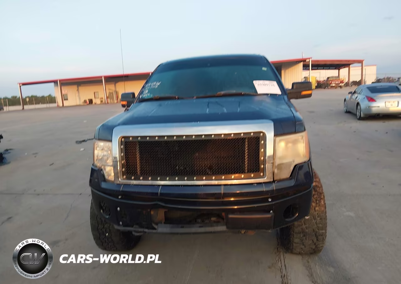 2009 Ford F-150 Xl-Xlt VIN:1FTRW14859FA67831 - 12