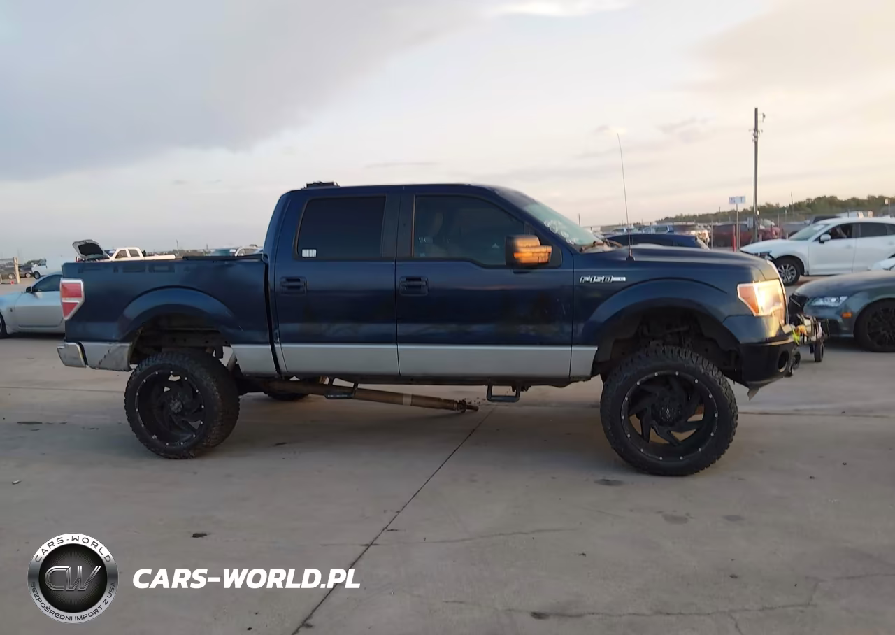 2009 Ford F-150 Xl-Xlt VIN:1FTRW14859FA67831 - 13
