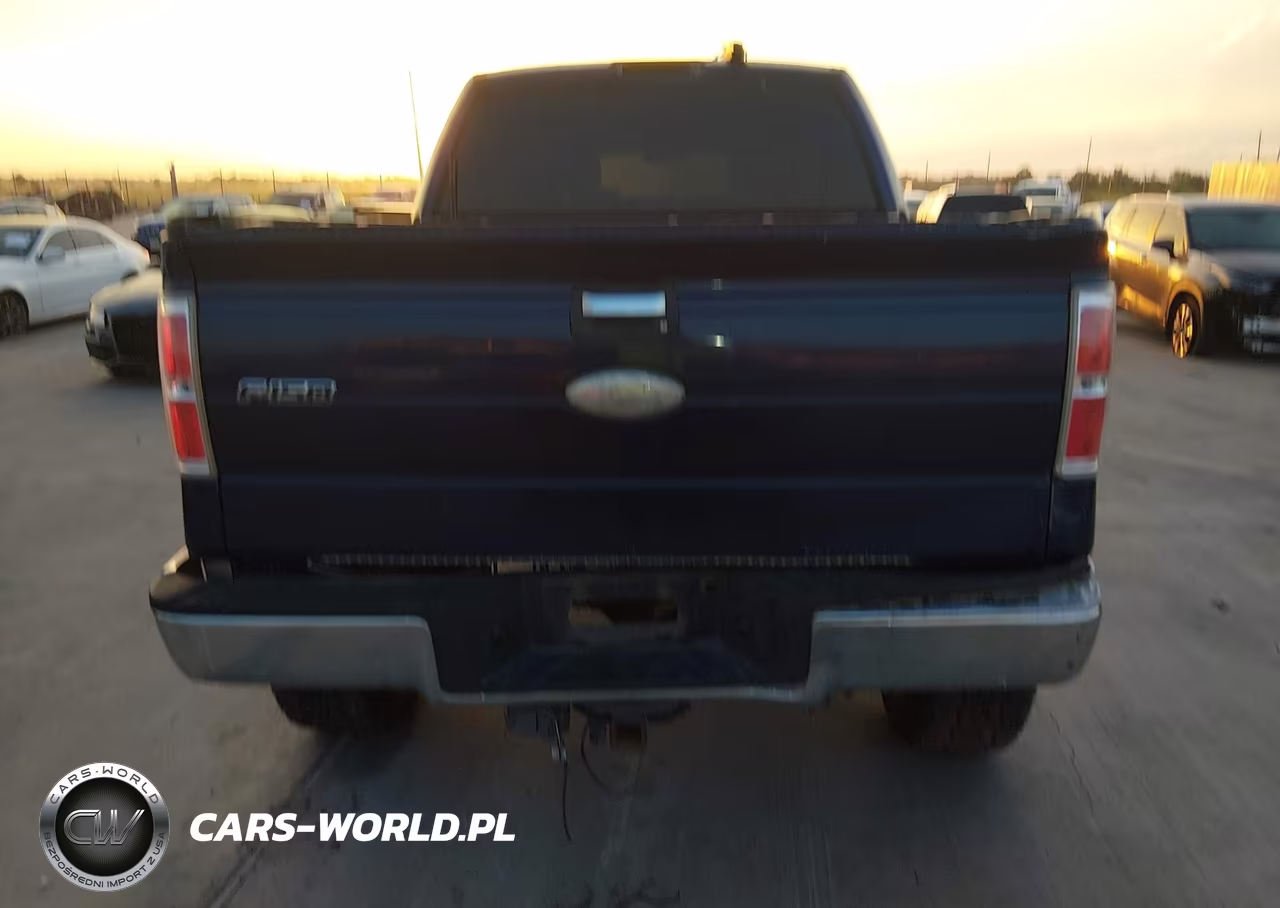 2009 Ford F-150 Xl-Xlt VIN:1FTRW14859FA67831 - 16