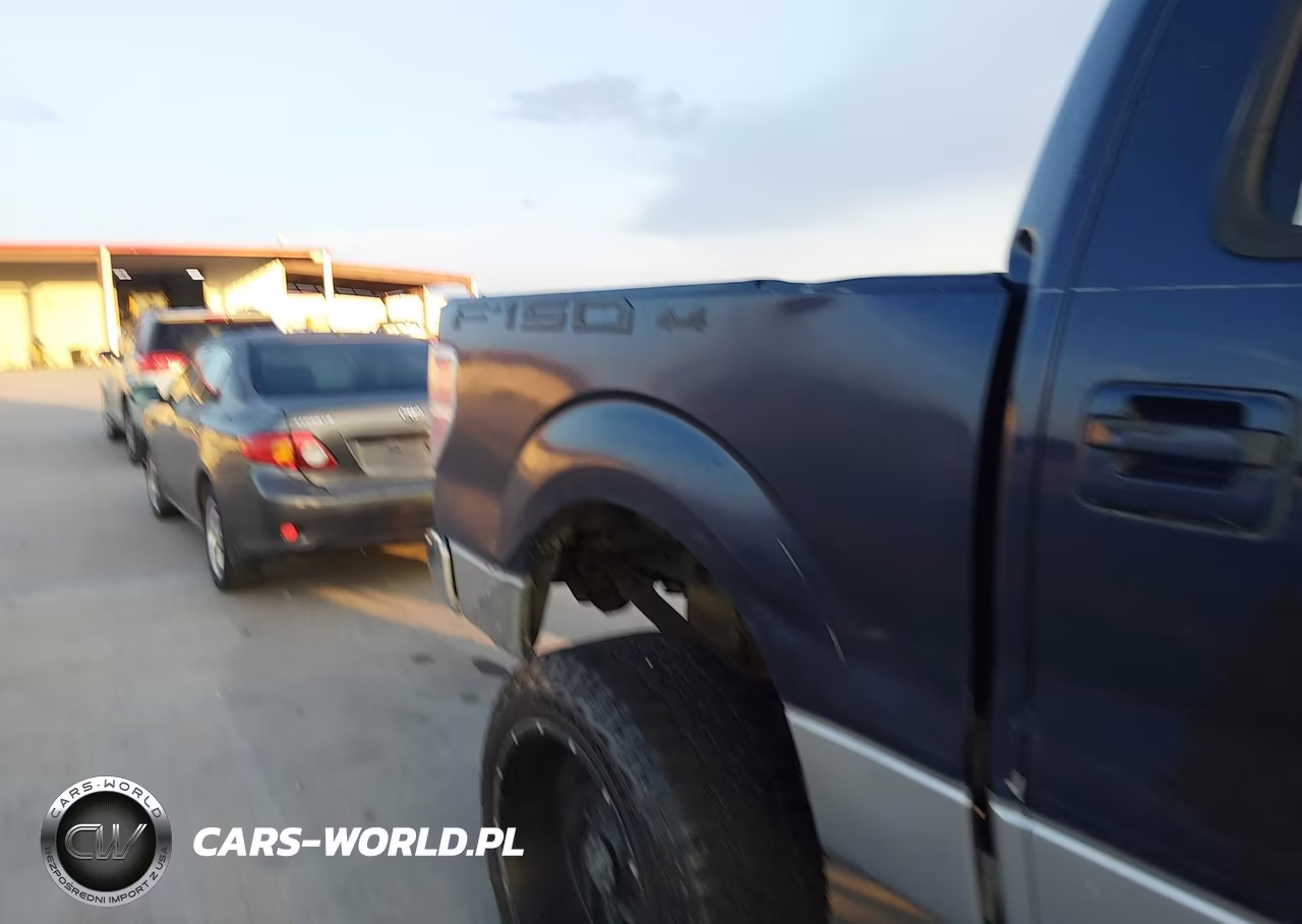 2009 Ford F-150 Xl-Xlt VIN:1FTRW14859FA67831 - 17