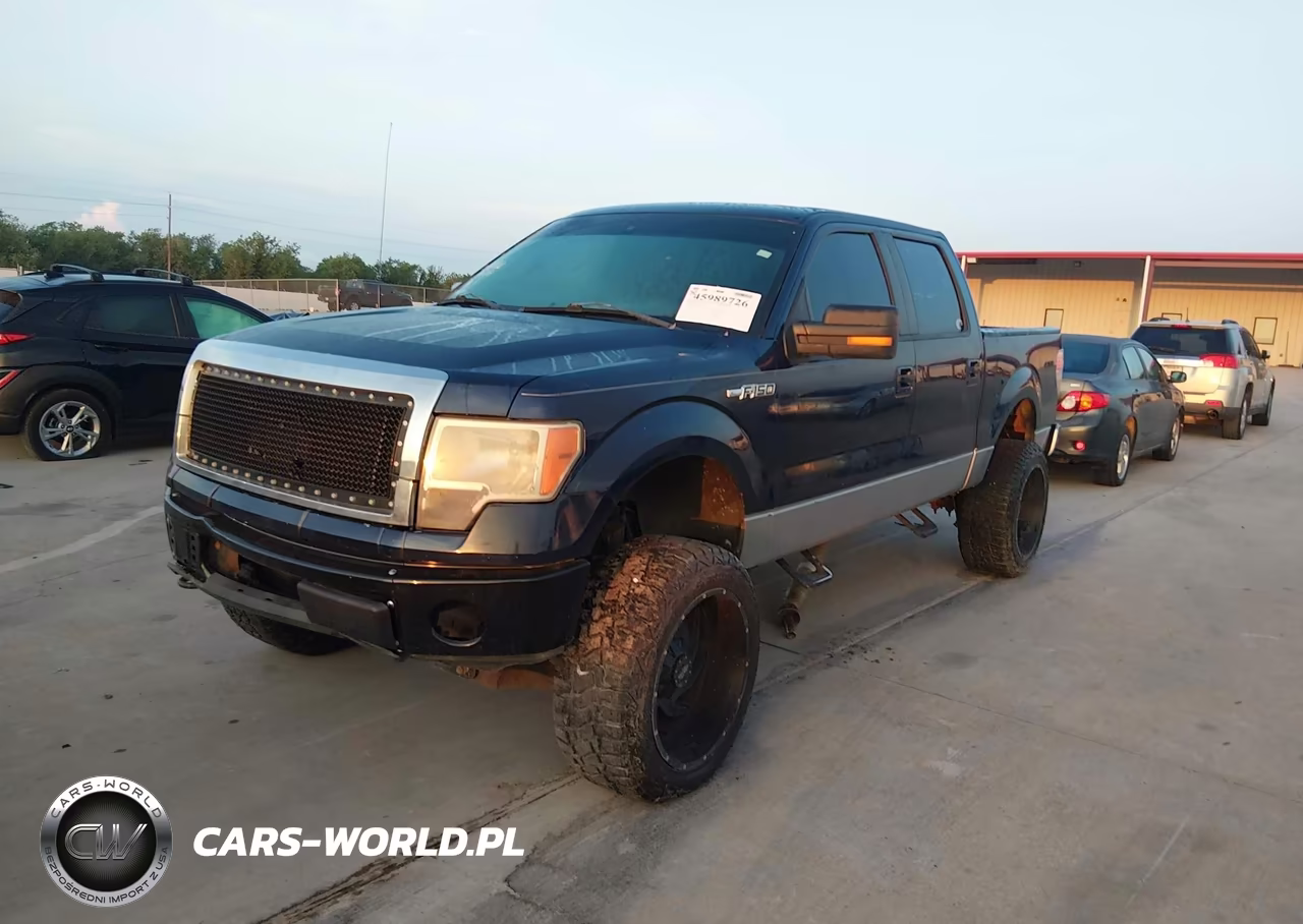 2009 Ford F-150 Xl-Xlt VIN:1FTRW14859FA67831 - 2