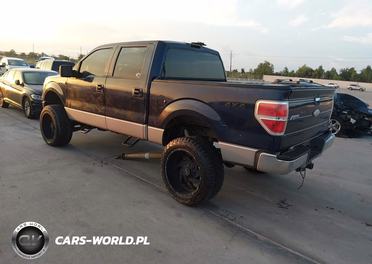 2009 Ford F-150 Xl-Xlt VIN:1FTRW14859FA67831 - 3