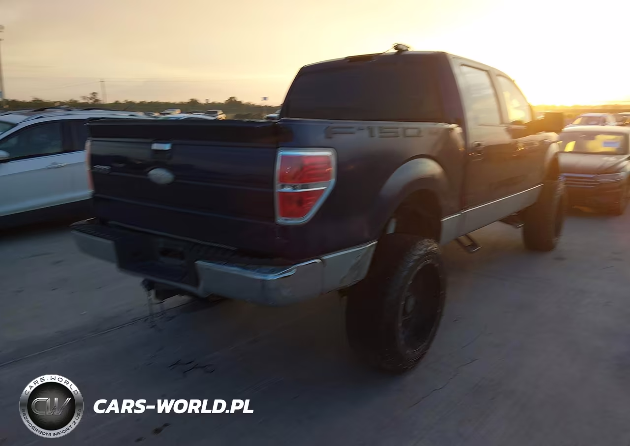 2009 Ford F-150 Xl-Xlt VIN:1FTRW14859FA67831 - 4