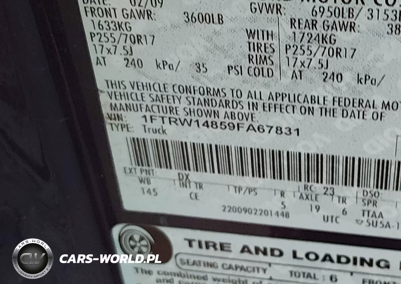 2009 Ford F-150 Xl-Xlt VIN:1FTRW14859FA67831 - 9