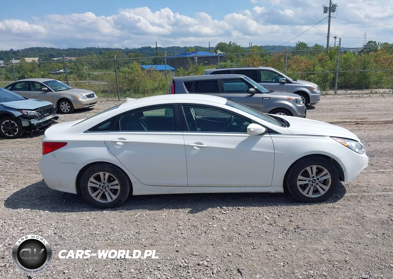 2014 Hyundai Sonata Gls VIN:5NPEB4AC6EH813319 - 13