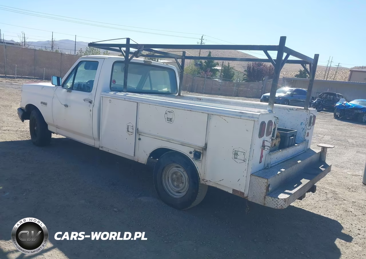 1991 Ford F150 VIN:1FTEF15Y7MKA37324 - 3