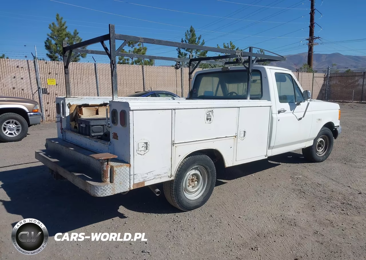 1991 Ford F150 VIN:1FTEF15Y7MKA37324 - 4
