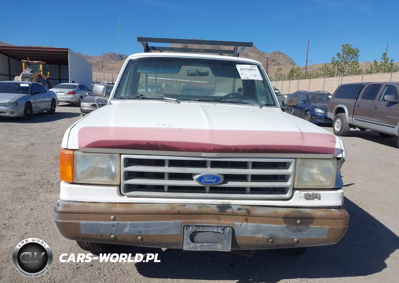 1991 Ford F150 VIN:1FTEF15Y7MKA37324 - 6
