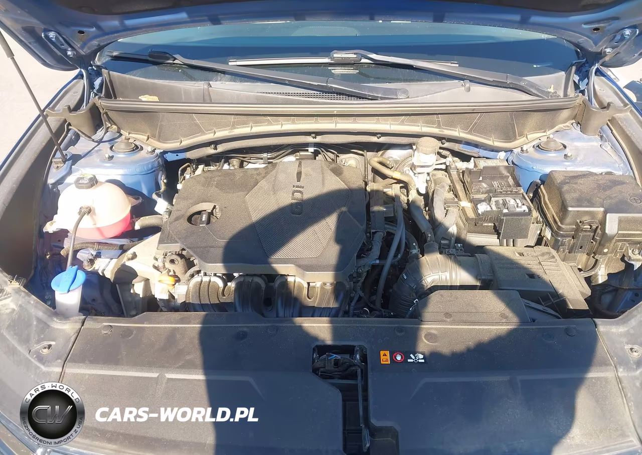 2024 Hyundai Tucson Limited VIN:5NMJECDE3RH331293 - 10