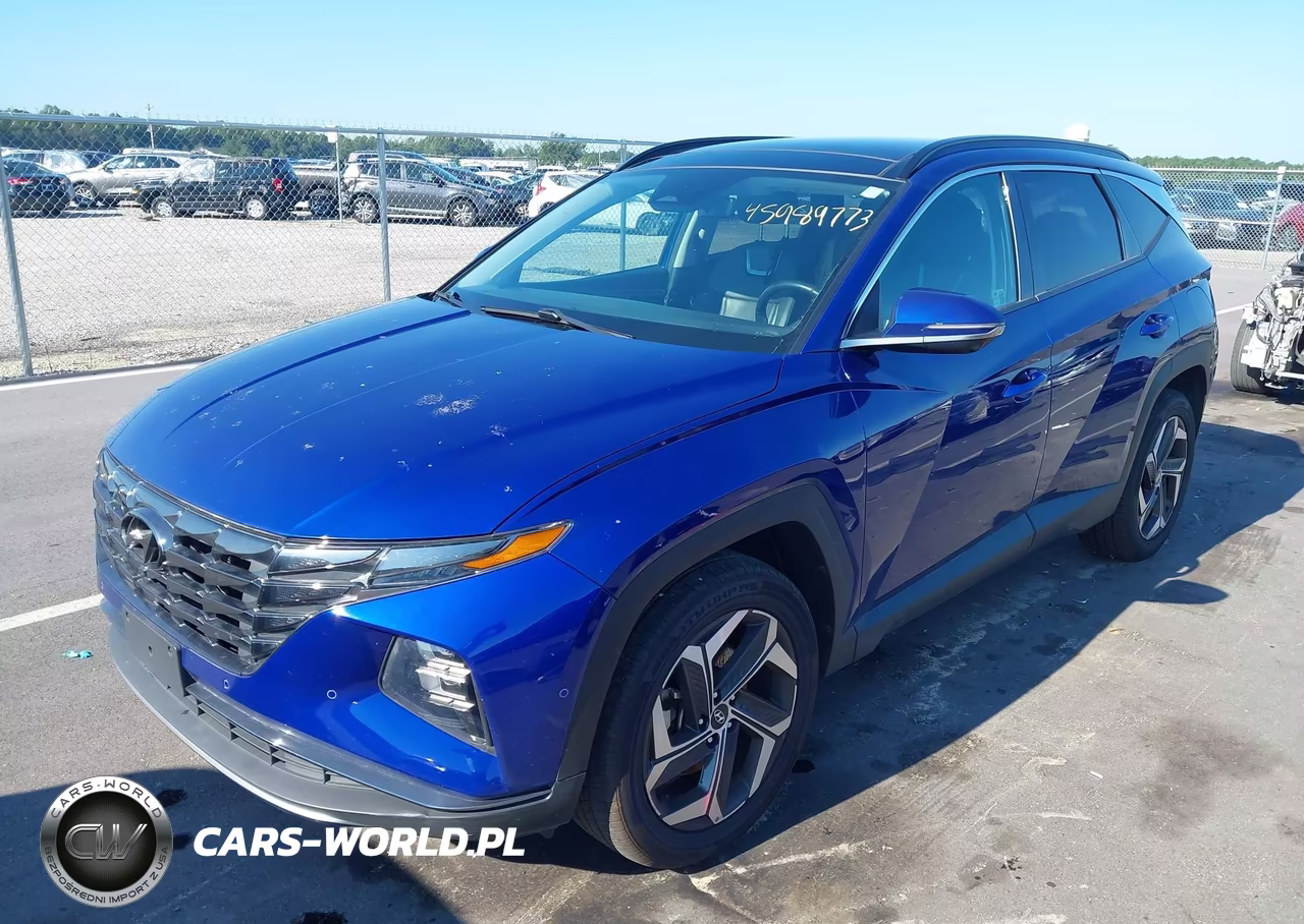 2024 Hyundai Tucson Limited VIN:5NMJECDE3RH331293 - 2