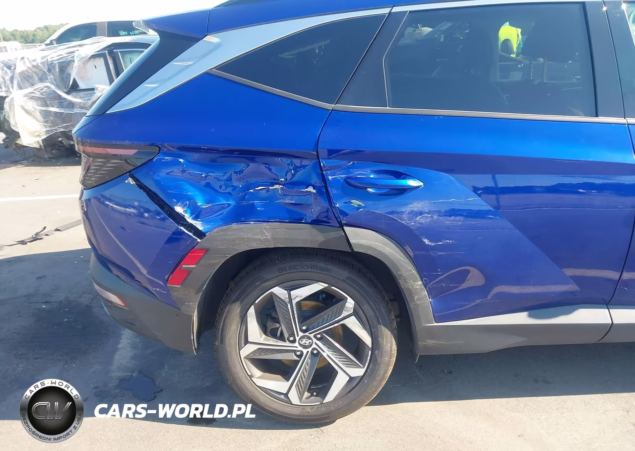 2024 Hyundai Tucson Limited VIN:5NMJECDE3RH331293 - 6