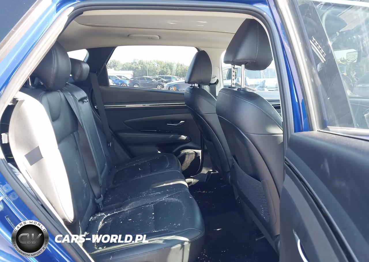 2024 Hyundai Tucson Limited VIN:5NMJECDE3RH331293 - 8