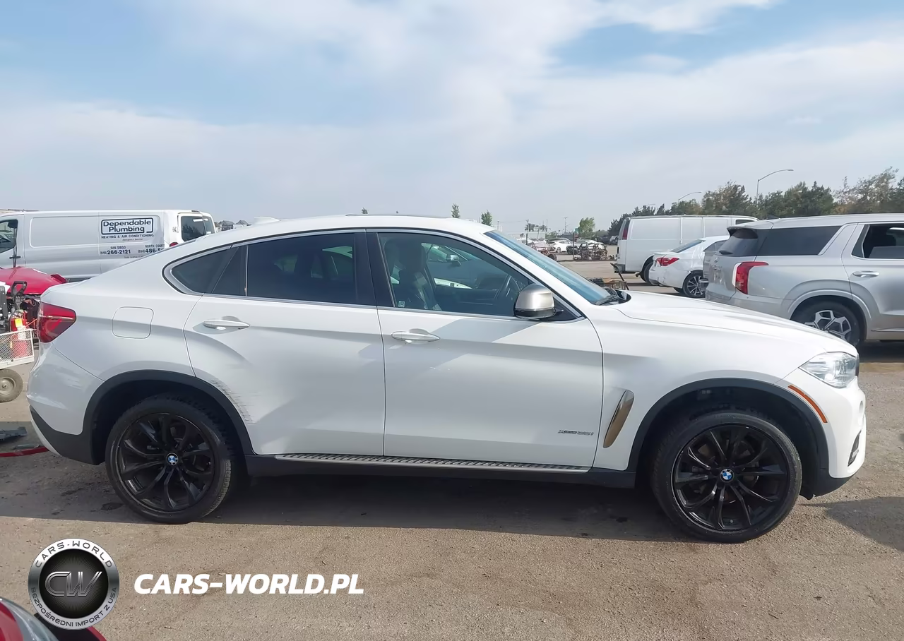 2016 BMW X6 xDrive35I VIN:5UXKU2C58G0N79618 - 13