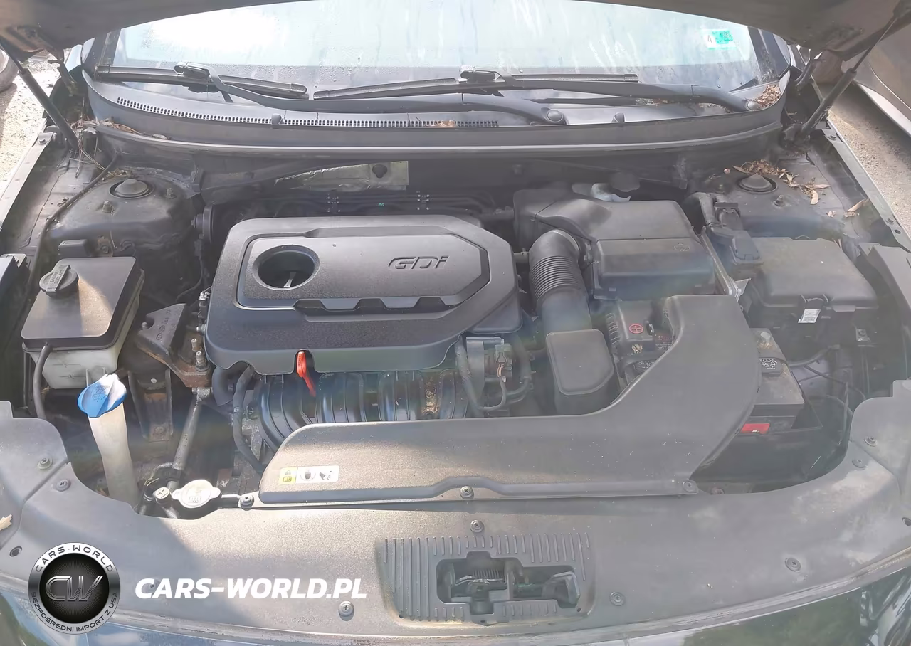 2015 Hyundai Sonata Se VIN:5NPE24AF3FH003903 - 10